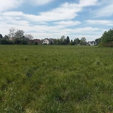 Stadtgruen 1