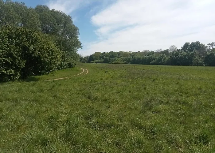 Stadtgruen 1, Ruhiges Mit Terrasse Und Kostenlosem Parkplatz, Ideal Fuer Berlin-besucher Berlino