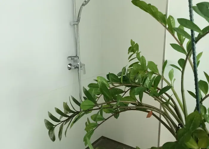 Stadtgruen 1, Ruhiges Mit Terrasse Und Kostenlosem Parkplatz, Ideal Fuer Berlin-besucher Apartment