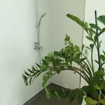 Stadtgruen 1, Ruhiges Mit Terrasse Und Kostenlosem Parkplatz, Ideal Fuer Berlin-besucher 公寓